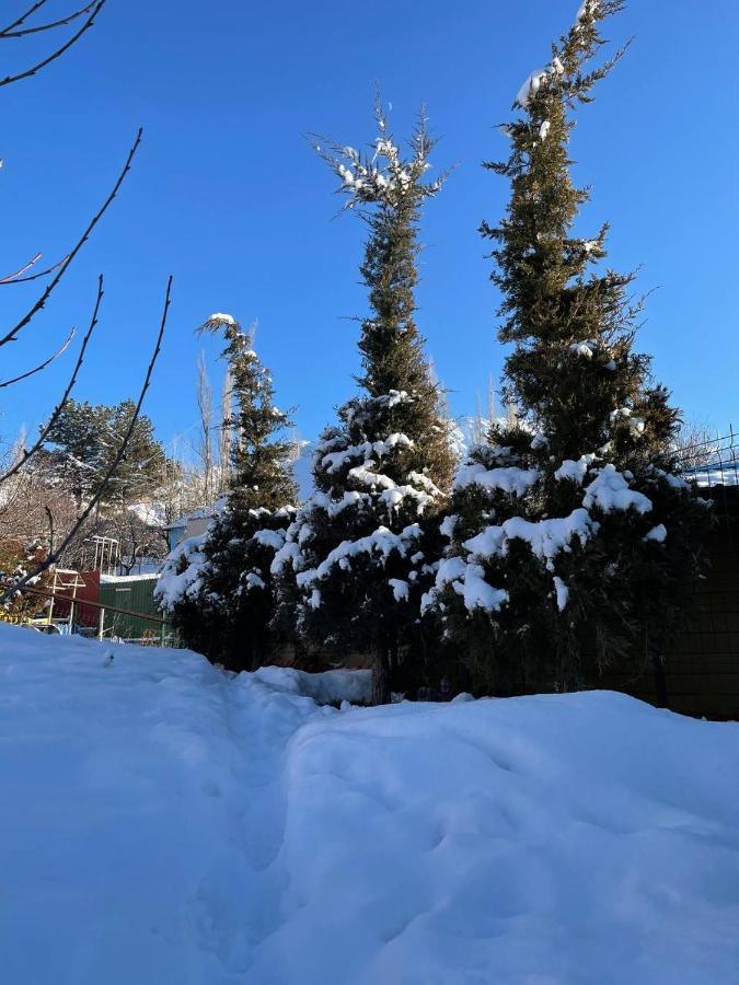 Гостевой Дом Chimgan Apple Garden Exterior foto