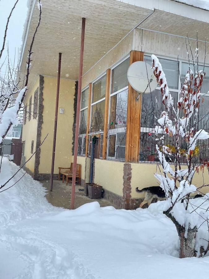 Гостевой Дом Chimgan Apple Garden Exterior foto